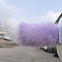 Taro