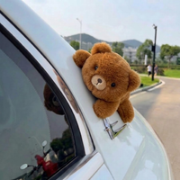 Brown Bear
