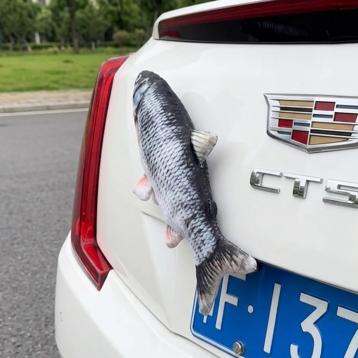The FishDrift™